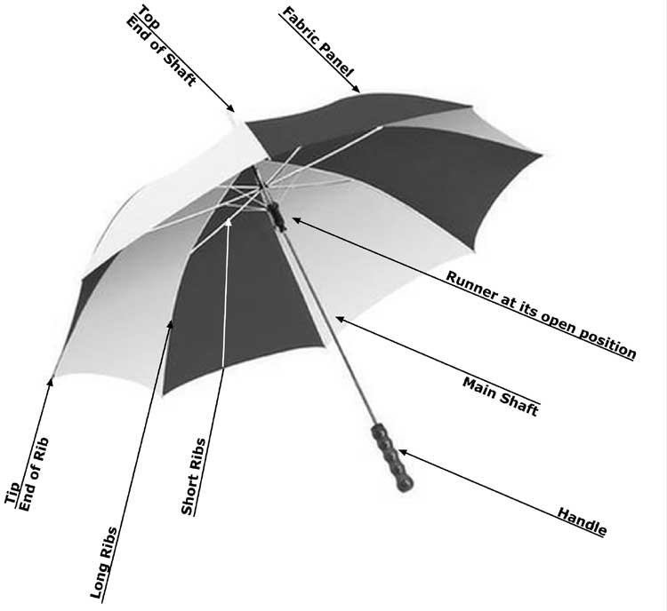 How Did Umbrella Get Its Name at James Glassop blog